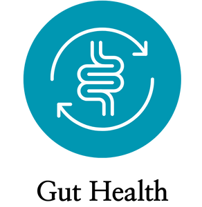 Gut Health Gut Health
