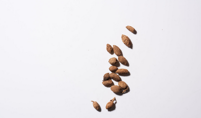 Villous Amomuni Fruit