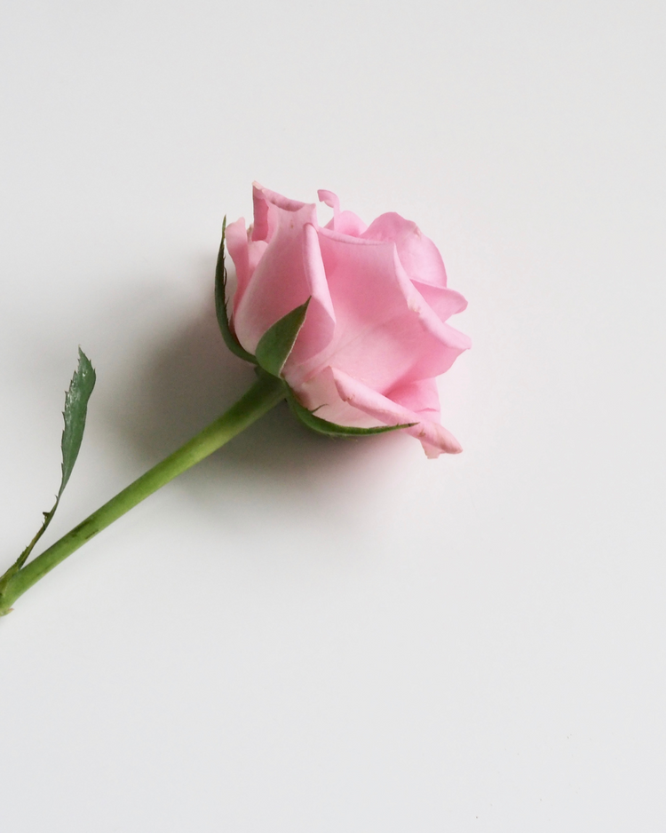Celebrate Mom with the Gift of Balance