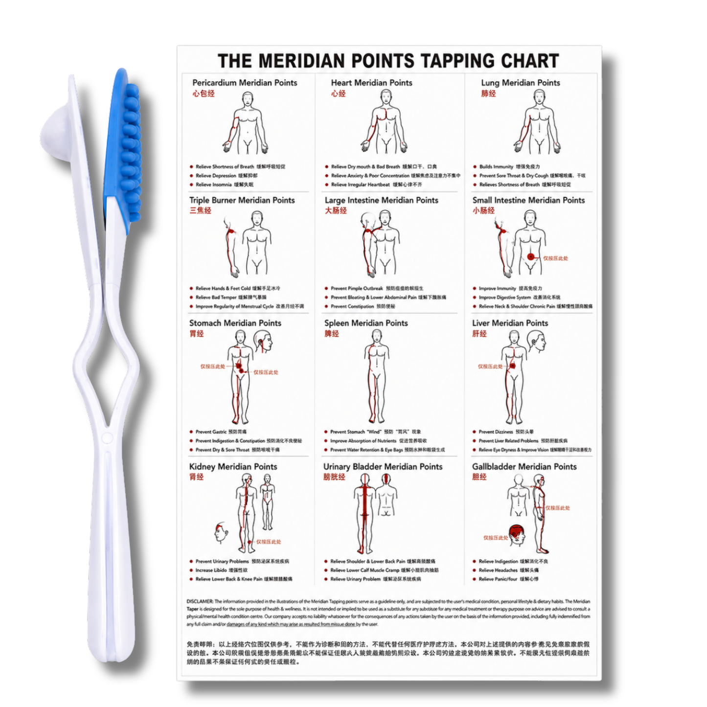 Meridian Points Tapper